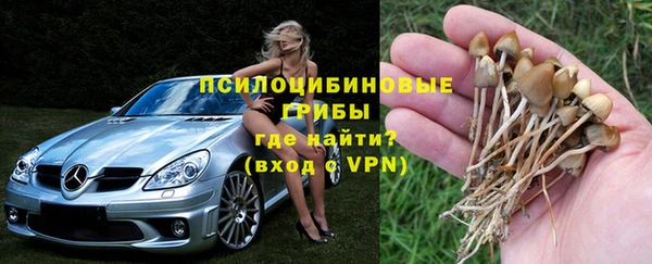 дурь Абинск
